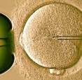 In Poland debates are highly contentious about IVF issue