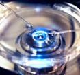 New discovery could improve dismal IVF success rates