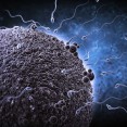 Ученые утверждают, что возраст донора спермы не имеет значения