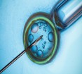 Only 2000 babies were born using cryogenic egg freezing