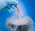 According to experts, sperm freezing is on the rise