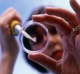 The game changing future of fertility