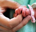 Polish bishops condemn introduction of IVF law