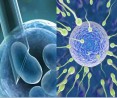 World in-vitro fertilization market would expected to grow at 7.0 %