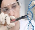 В США намерены создать специальную комиссию по вопросам модификации ДНК