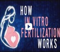 The science of making babies via in vitro fertilization