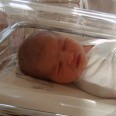 У американки родились близнецы с разницей в 11 лет
