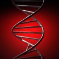 New Genetic Test to Protect Future Children from Hereditary Illnesses