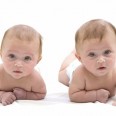 Can Twin Embryos Help Each Other Survive In IVF?