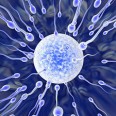 Baby Born From 25-Year Old Spermatozoid