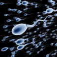 New Fertility Treatment To Choose The Best Sperm