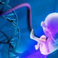 Ученые исследовали геном 18-недельного плода